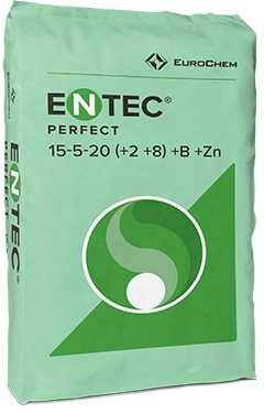 ENTEC® perfect 15&#8288-5&#8288-20 (+2MgO+8S)